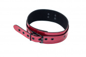 The collar Party Hard Eccentric 1092-01lola