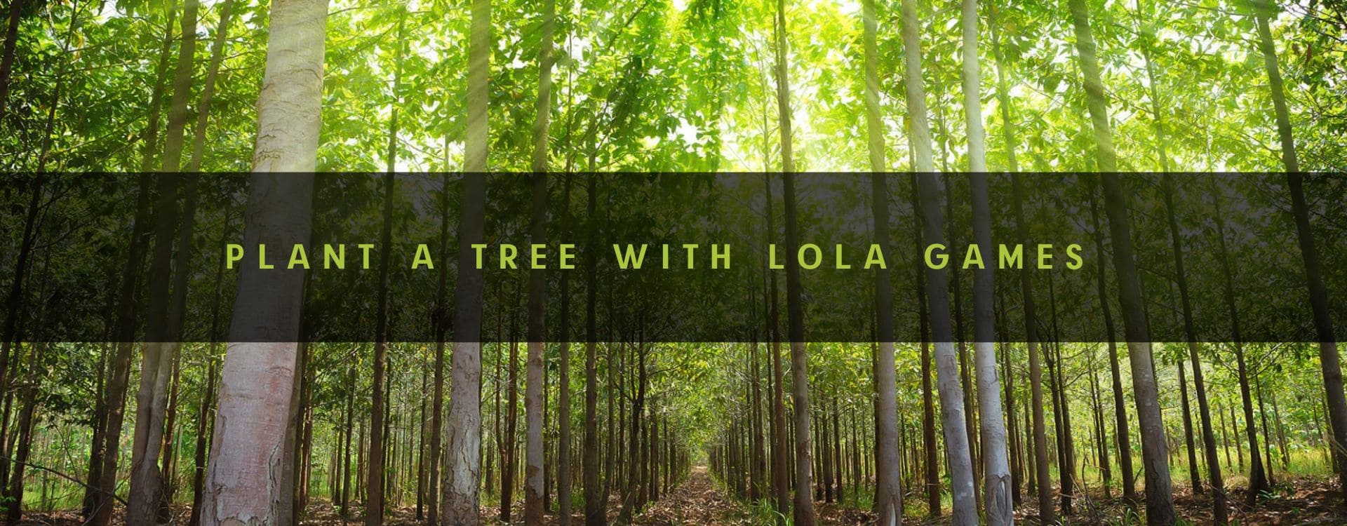 plant_a_tree_with_lola_games.jpg