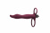 Strap-on Pure Passion Flirtini Wine red 1204-02lola