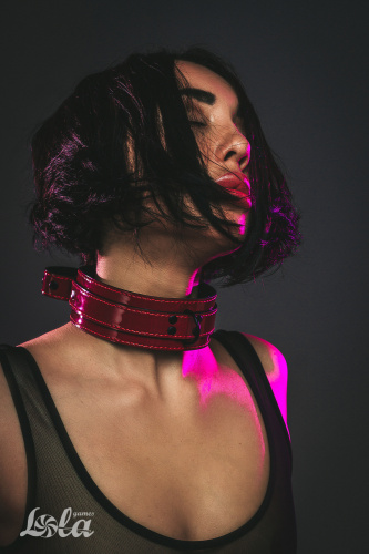 The collar Party Hard Eccentric 1092-01lola