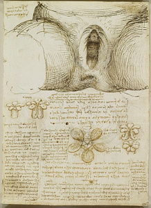 Da Vinci