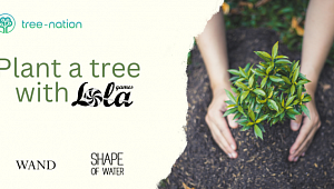 Plant a Tree with Lola Games
