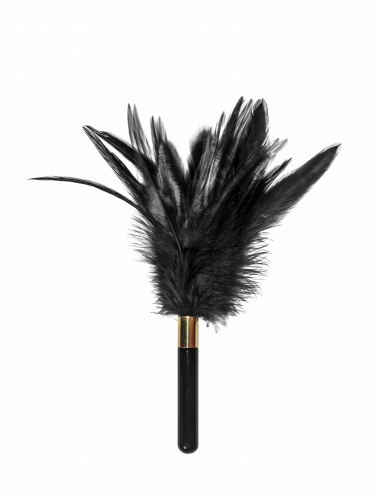 Tickler Burlesque Plume Black 1082-02lola