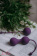 Vaginal Balls Set for Easy and Medium Level Love Story Carmen Lavender Sunset 3011-03lola